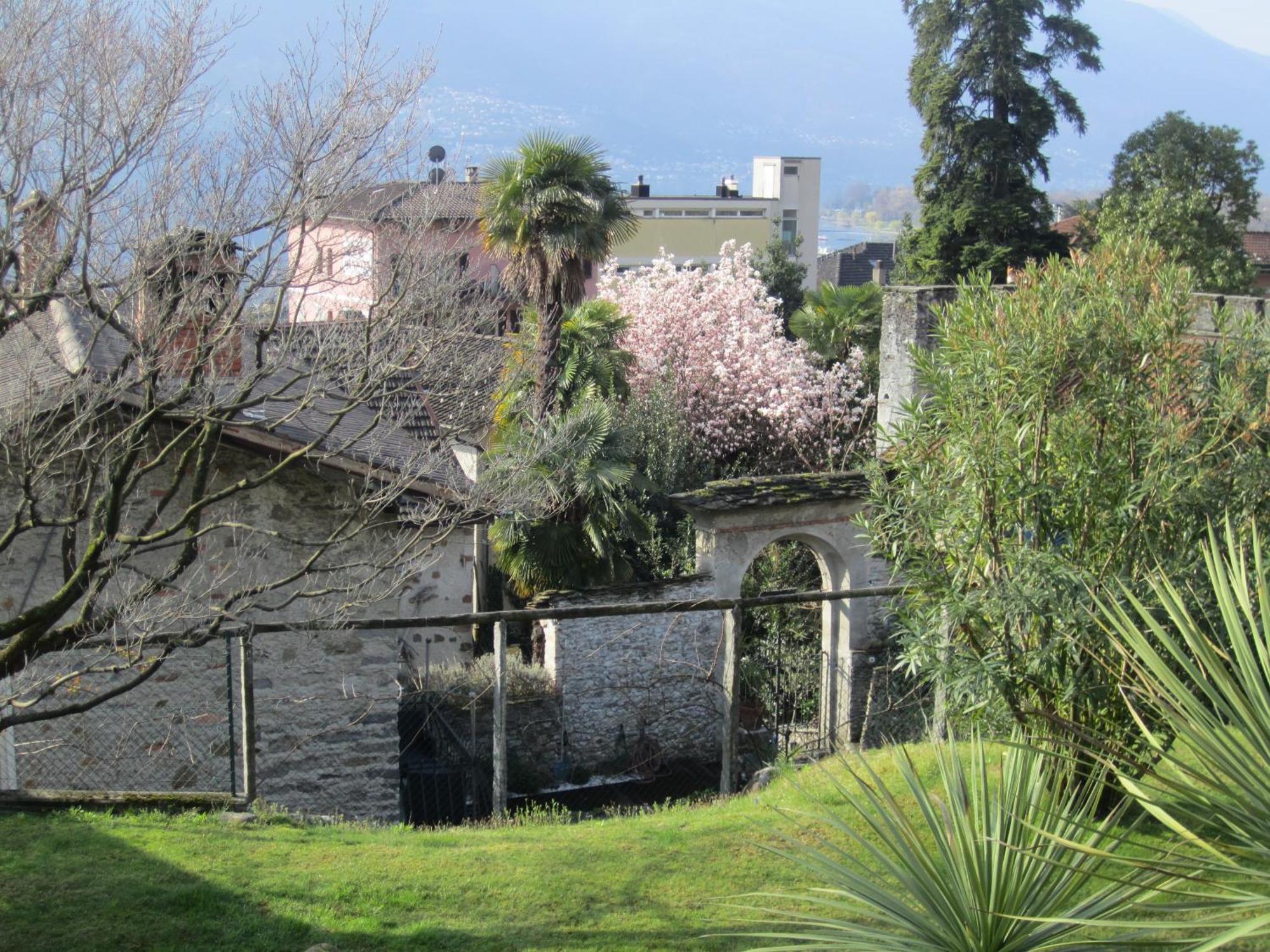 Muralto-Locarno: Miramonti Apt. 8 エクステリア 写真